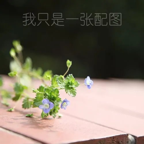 【泉州美食攻略】泉州特色美食有哪些 泉州名小吃 泉州好吃的餐厅盘点