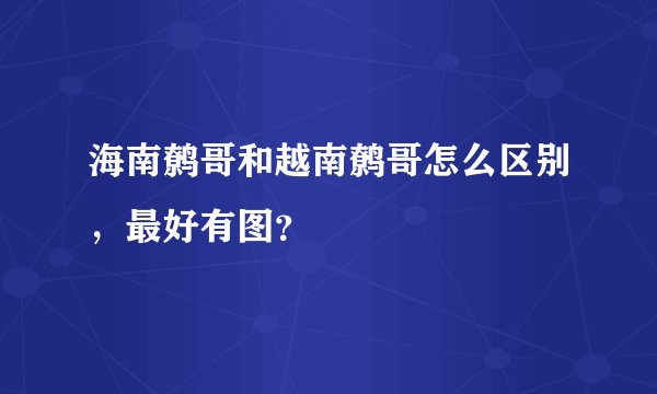 海南鹩哥和越南鹩哥怎么区别，最好有图？