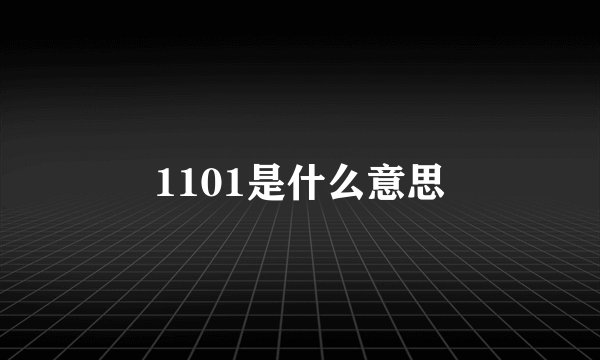 1101是什么意思