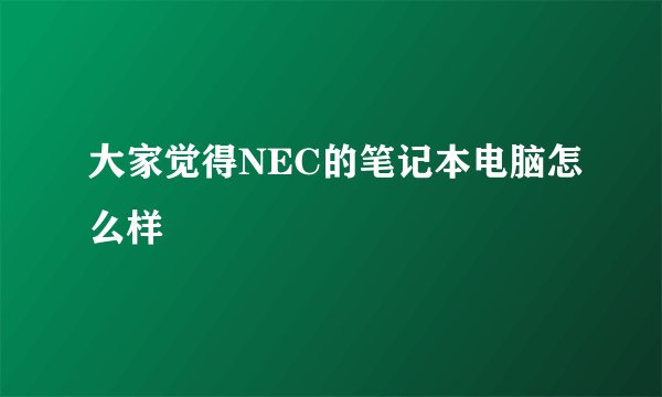 大家觉得NEC的笔记本电脑怎么样