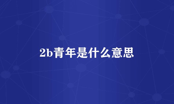 2b青年是什么意思