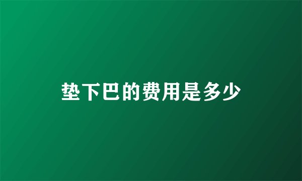 垫下巴的费用是多少