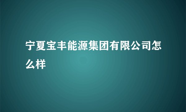 宁夏宝丰能源集团有限公司怎么样