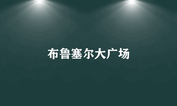 布鲁塞尔大广场