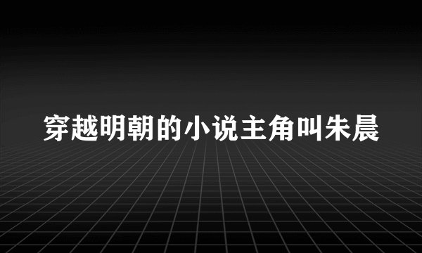 穿越明朝的小说主角叫朱晨