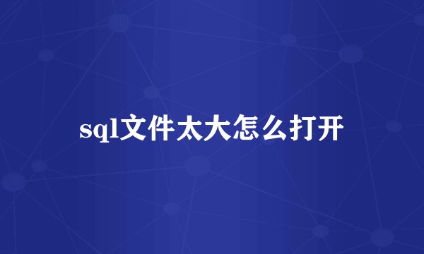 sql文件太大怎么打开