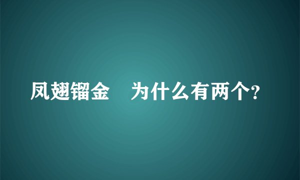 凤翅镏金镋为什么有两个？