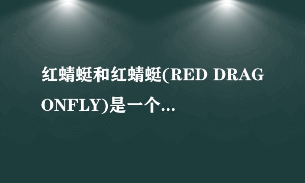 红蜻蜓和红蜻蜓(RED DRAGONFLY)是一个牌子吗?有什么区别？