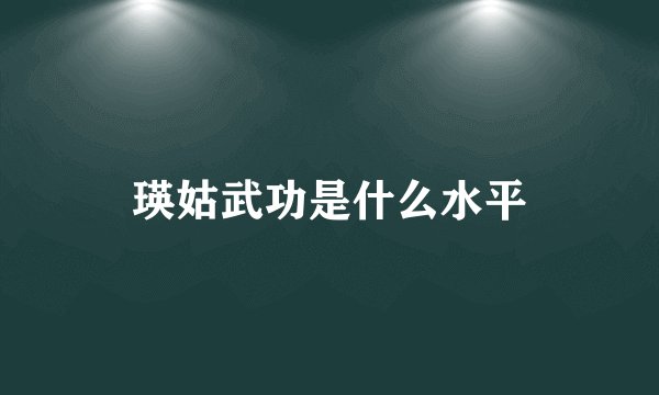 瑛姑武功是什么水平