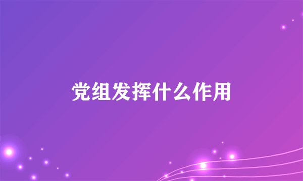 党组发挥什么作用