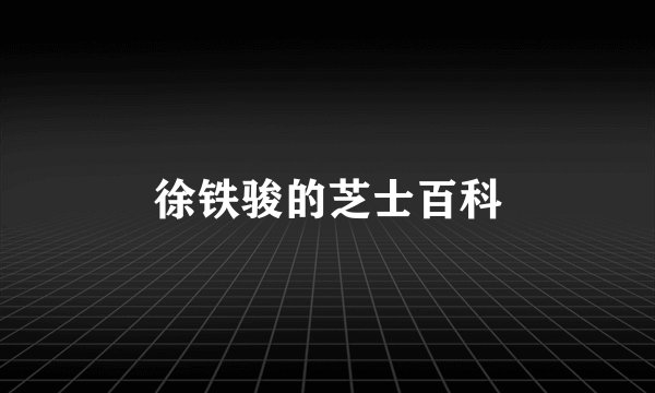 徐铁骏的芝士百科