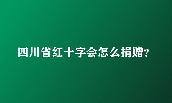 四川省红十字会怎么捐赠?