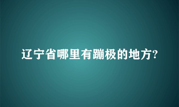 辽宁省哪里有蹦极的地方?