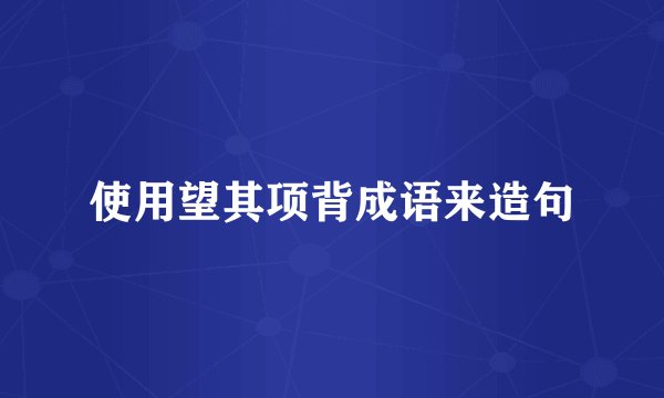 使用望其项背成语来造句