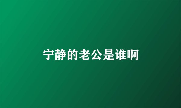 宁静的老公是谁啊