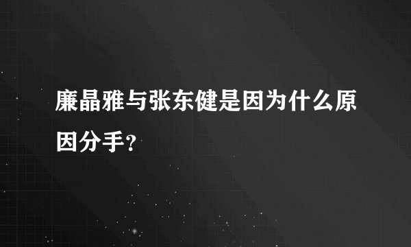 廉晶雅与张东健是因为什么原因分手？