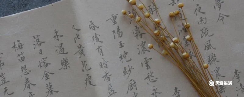 照应造句