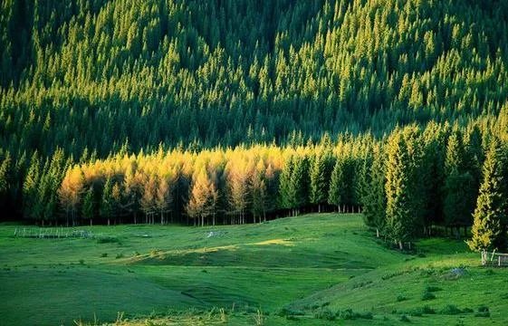 明天就到新疆石河子了,石河子有什么美食和旅游景点推荐?
