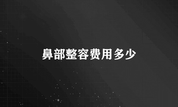 鼻部整容费用多少