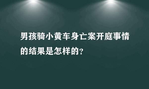 男孩骑小黄车身亡案开庭事情的结果是怎样的?