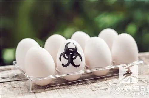 h5n6禽流感