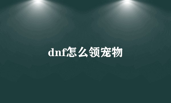 dnf怎么领宠物