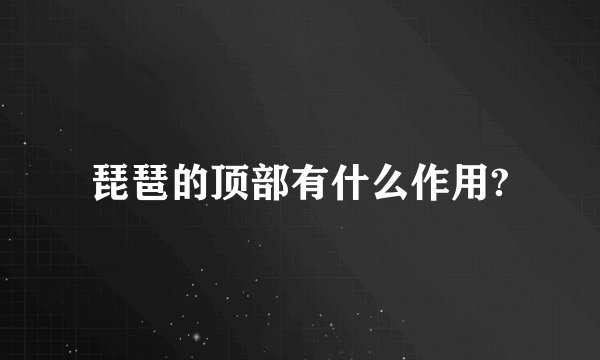 琵琶的顶部有什么作用?