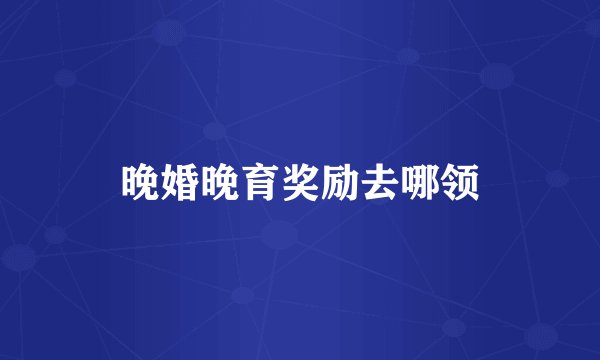 晚婚晚育奖励去哪领