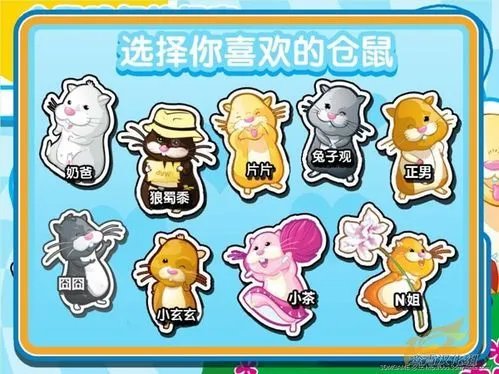 仓鼠球简体中文版图文介绍