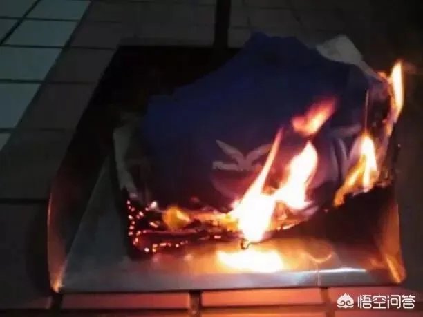 LMS网友热议闪电狼出局“三年了,真的坚持不下去了”,对此你怎么看?