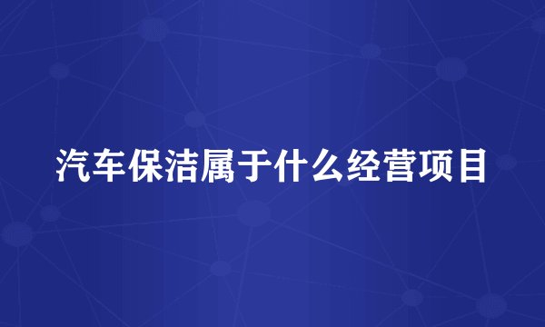 汽车保洁属于什么经营项目
