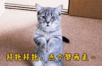 国际油价