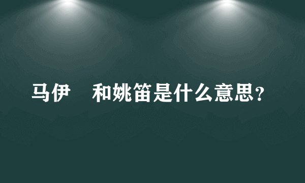 马伊琍和姚笛是什么意思？