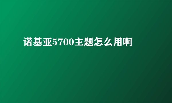 诺基亚5700主题怎么用啊