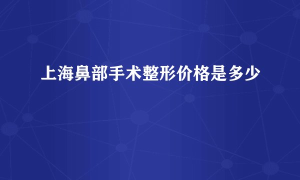 上海鼻部手术整形价格是多少