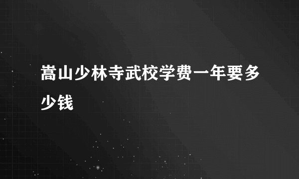 嵩山少林寺武校学费一年要多少钱