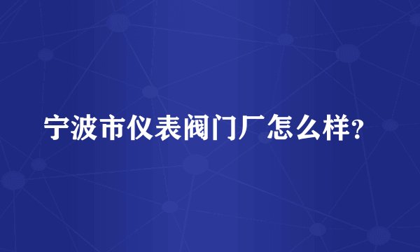 宁波市仪表阀门厂怎么样？