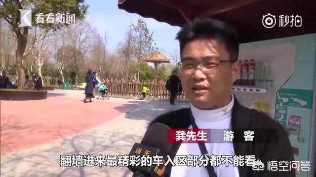 如何看待上海野生动物园逃票:一团伙收一百元让游客翻墙入园?