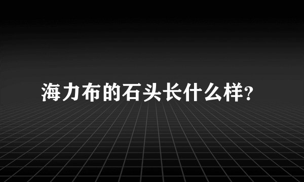 海力布的石头长什么样？
