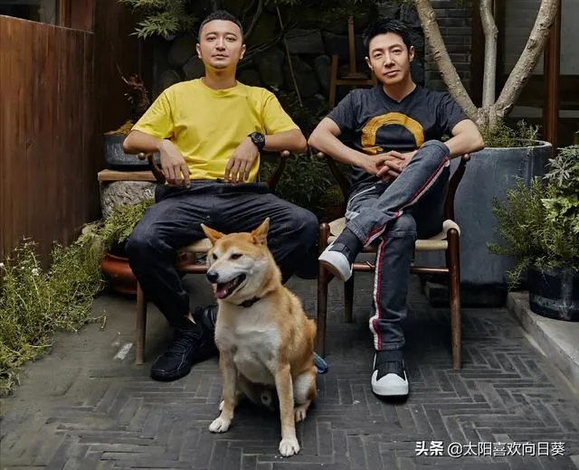 撒贝宁的近况如何？