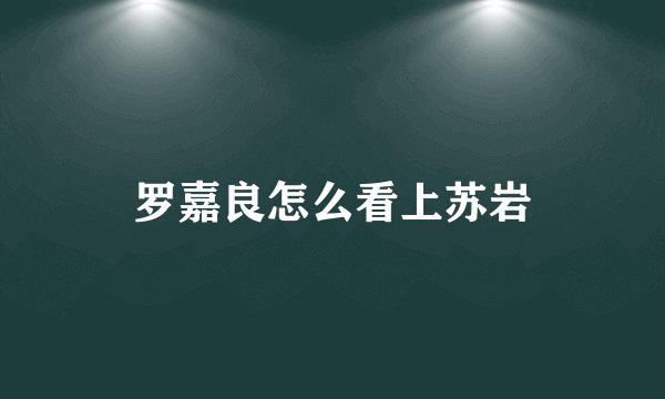罗嘉良怎么看上苏岩