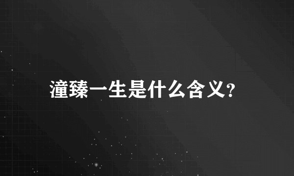 潼臻一生是什么含义？