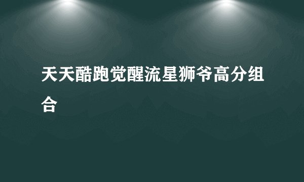 天天酷跑觉醒流星狮爷高分组合