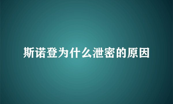 斯诺登为什么泄密的原因