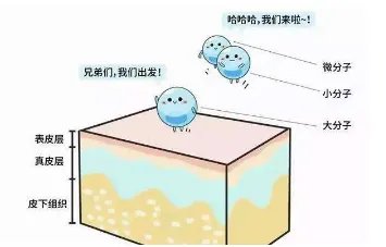 艾莉薇正品多少钱一支