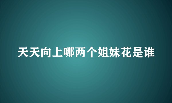 天天向上哪两个姐妹花是谁