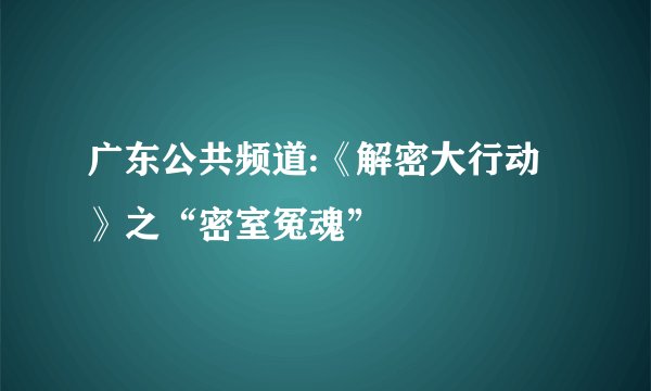 广东公共频道:《解密大行动》之“密室冤魂”