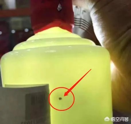 真瓶装假酒的茅台怎么分辨?