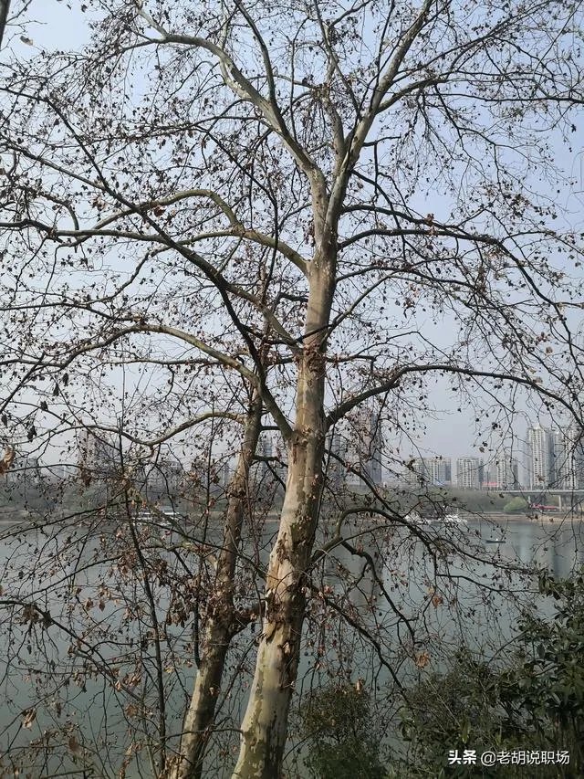 逢年过节给领导送礼违规吗