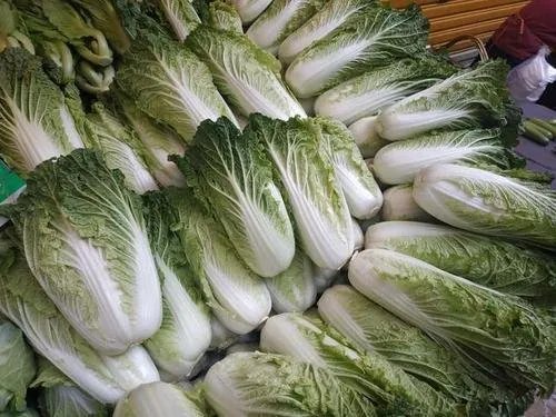 韩国的大白菜飙涨至62元一颗,这个价格在当地合理吗?